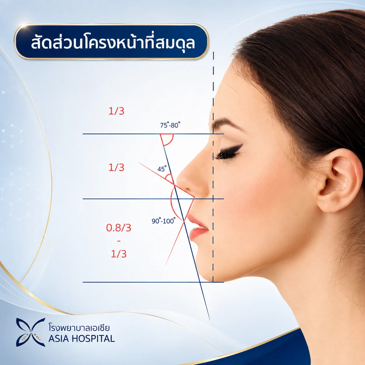 เสริมจมูก Rhinoplasty | โรงพยาบาลเอเซีย | โรงพยาบาลเอเซีย สัดส่วนโครงหน้า-เสริมจมูก