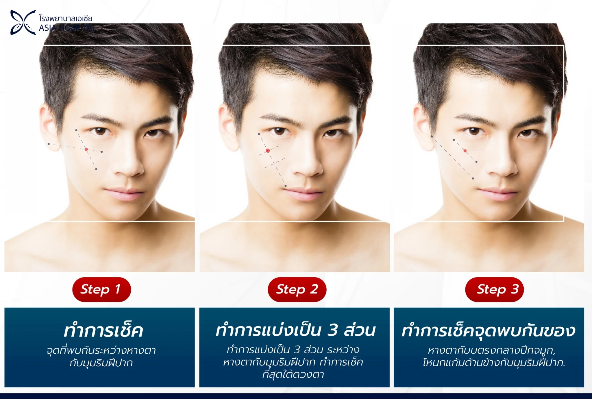 โครงสร้างกระดูกโหนกแก้ม